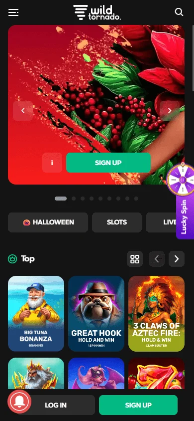 WildTornado Casino home interface on a mobile browser